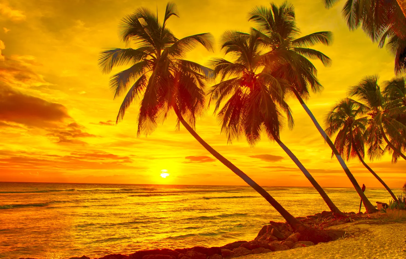 Photo wallpaper sand, sea, the sky, the sun, sunset, tropics, stones, palm trees