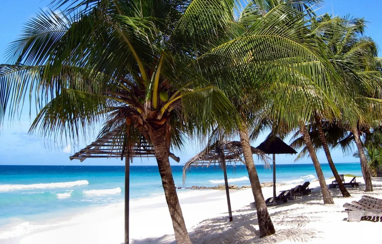 Photo wallpaper sand, beach, the sky, palm trees, shore, Barbados