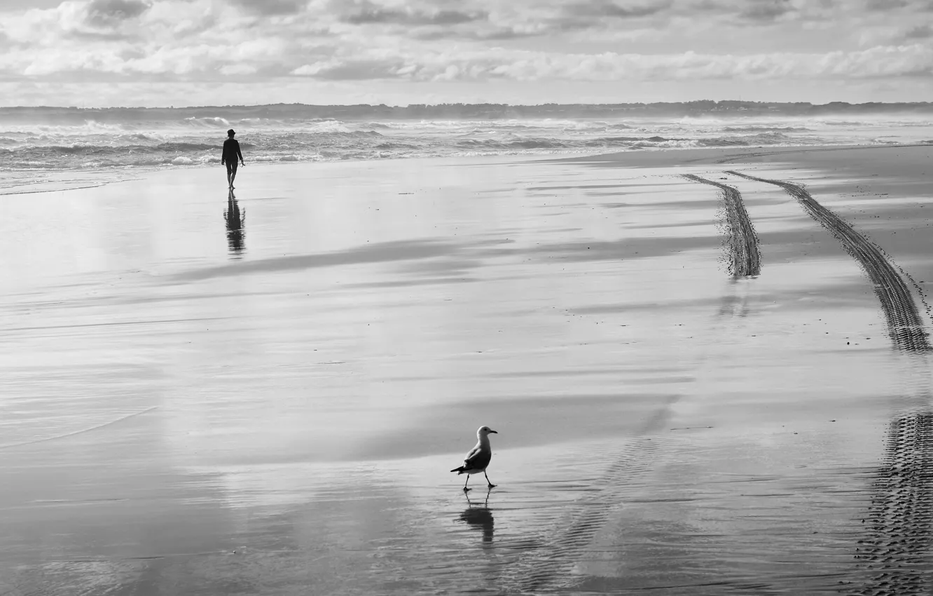 Photo wallpaper sea, bird, people