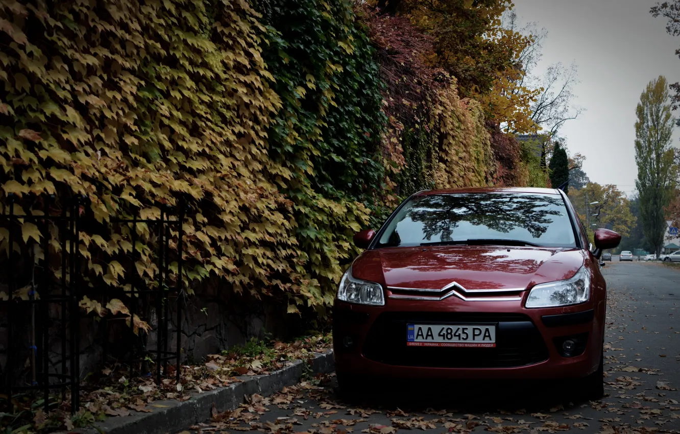 Photo wallpaper machine, autumn, leaves, Citroen, Citroen, Car, car, France