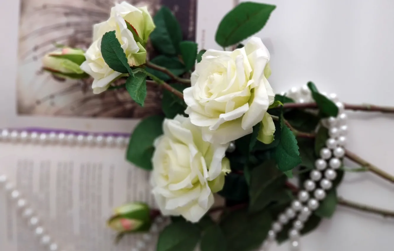Photo wallpaper flowers, roses, beads, book