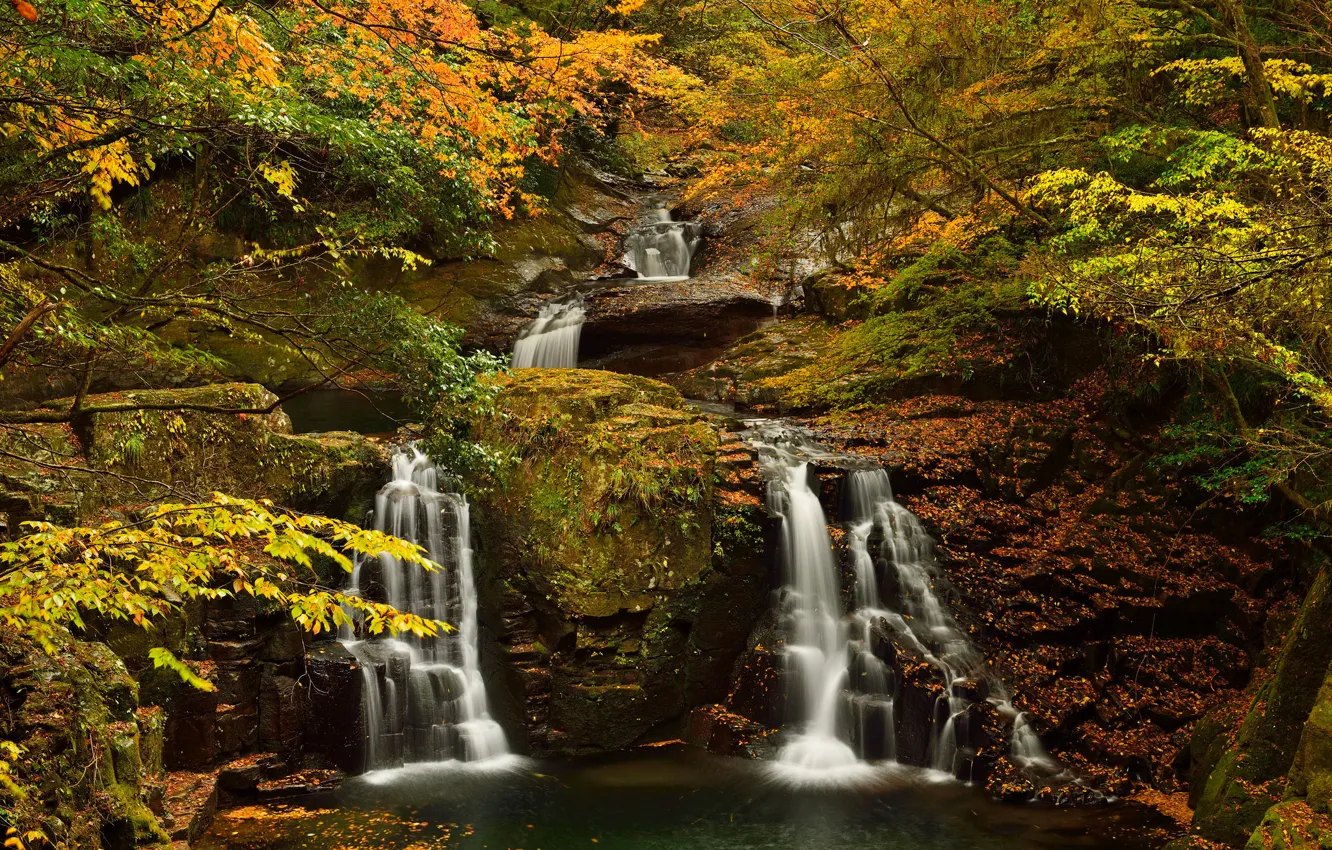 Photo wallpaper autumn, forest, trees, stream, rocks, waterfall, stream