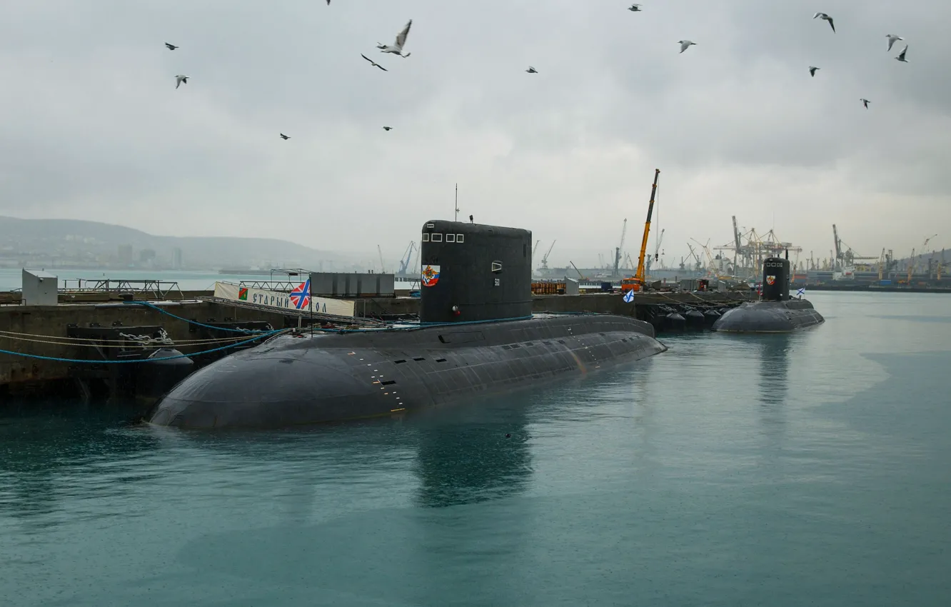 Photo wallpaper sea, black, Navy, Novorossiysk, submarines, the project 636.3