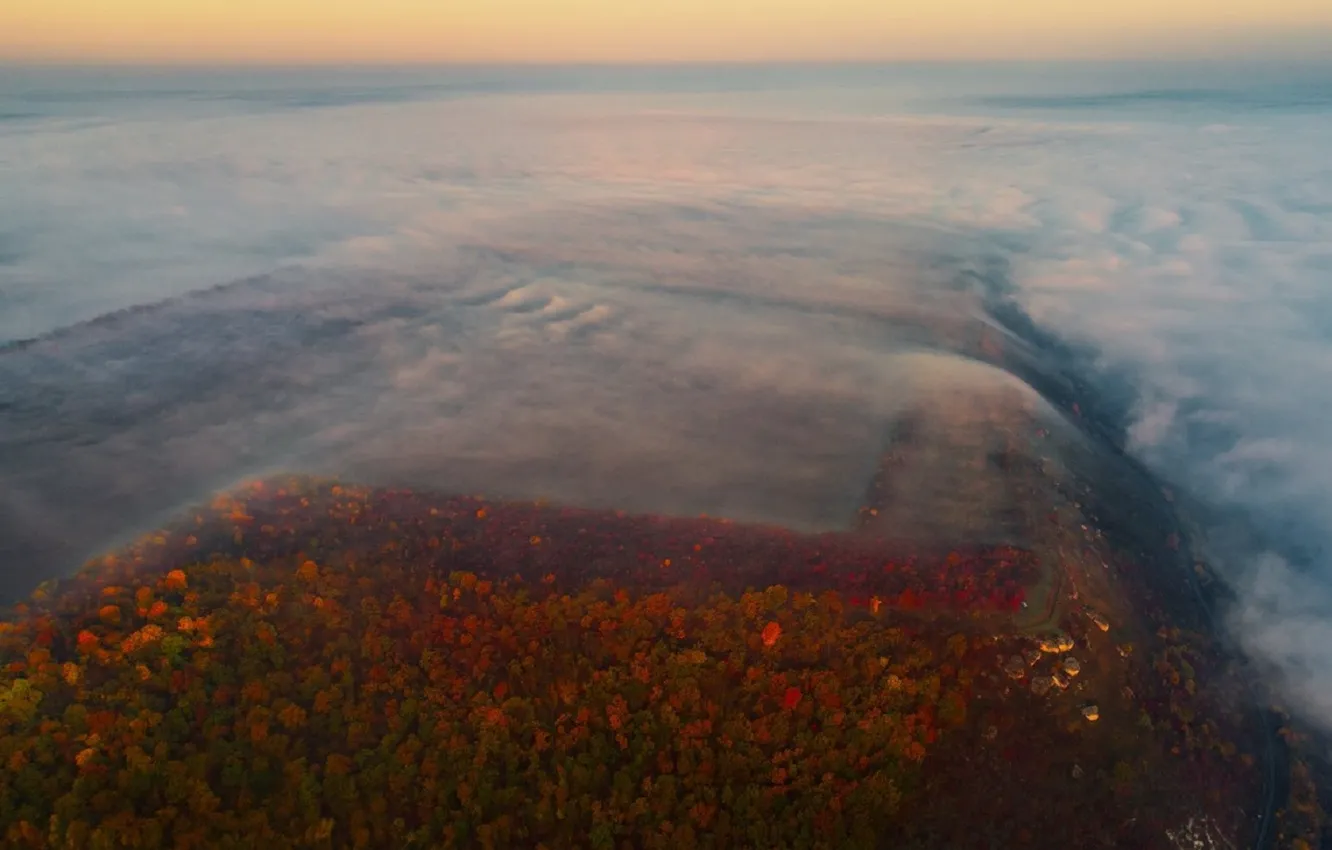 Photo wallpaper fog, dawn, Autumn, Moldova, the Dniester river