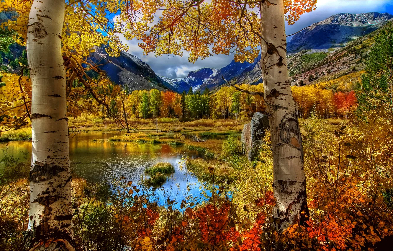 Photo wallpaper autumn, the sky, grass, leaves, landscape, mountains, nature, lake