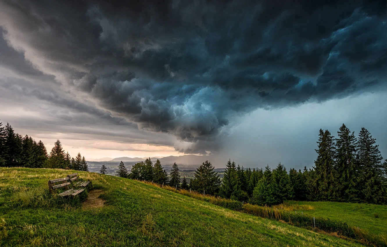 Photo wallpaper forest, the sky, bench, clouds, slope, shop, storm