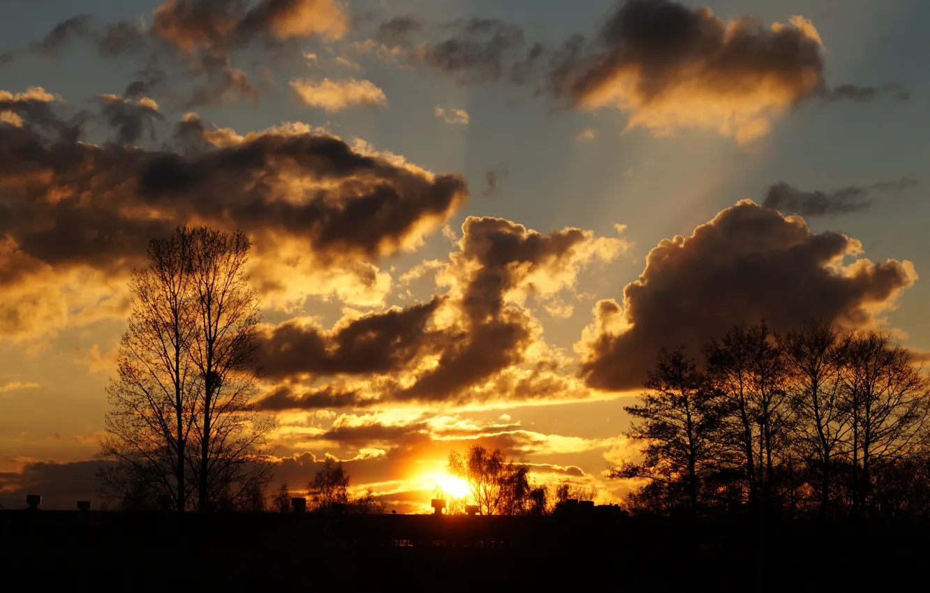 Photo wallpaper sky, sunset, cloud