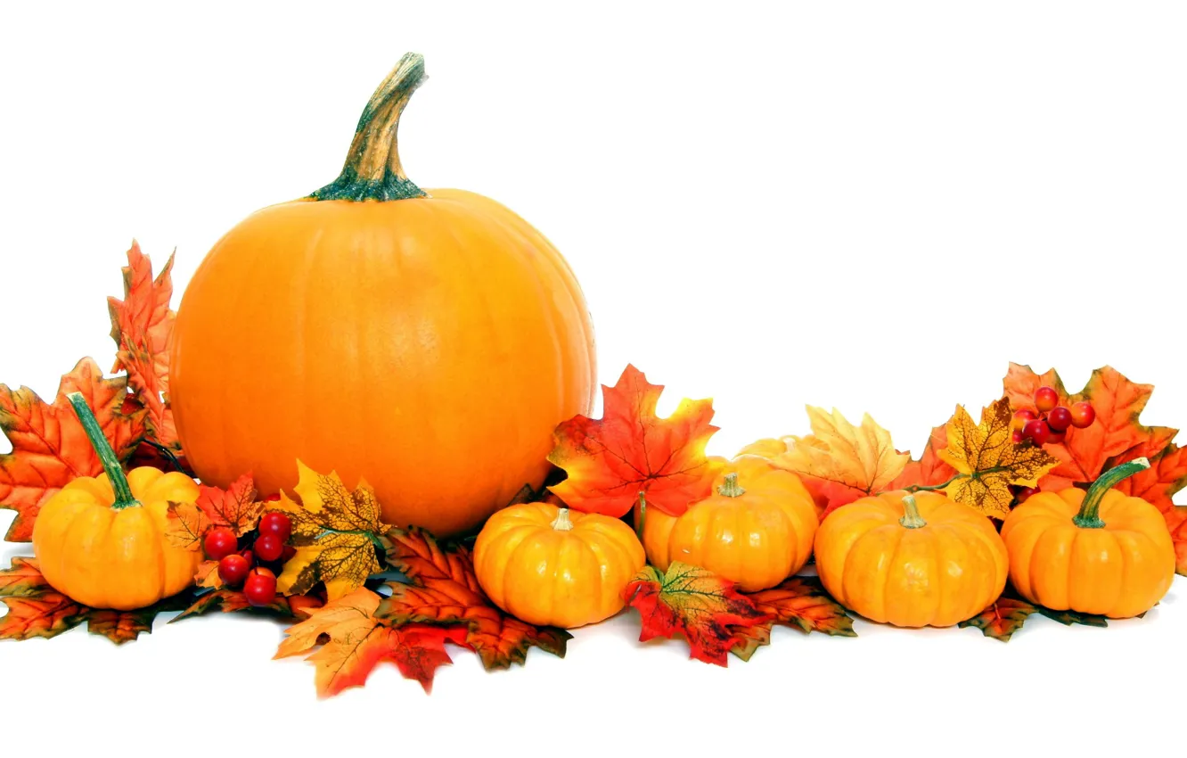 Photo wallpaper autumn, leaves, background, pumpkin
