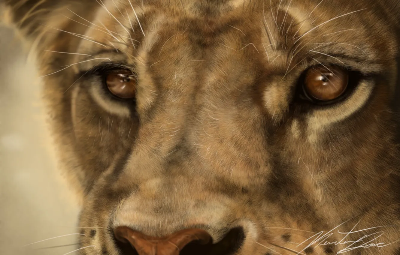 Photo wallpaper cat, mustache, face, macro, predator, Leo, art, lioness