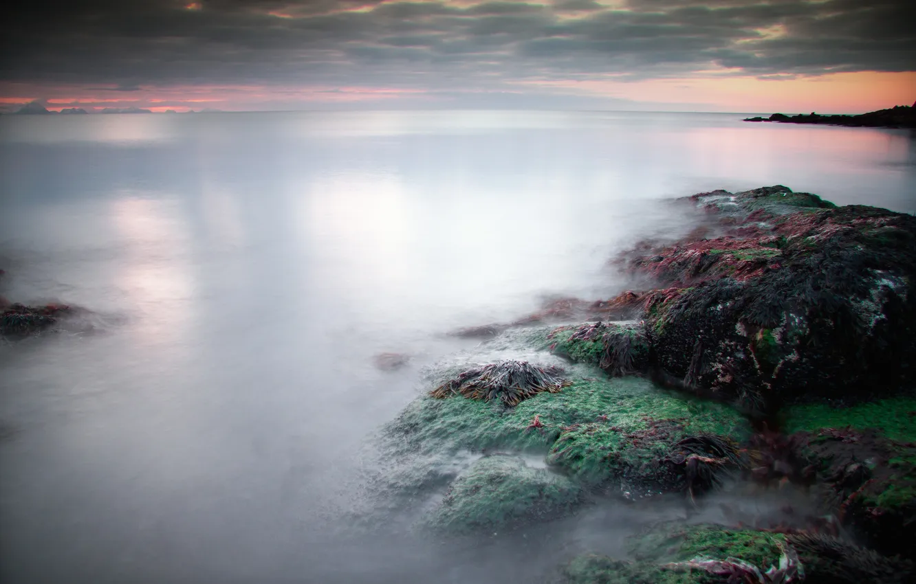 Photo wallpaper sea, algae, clouds, stones, calm