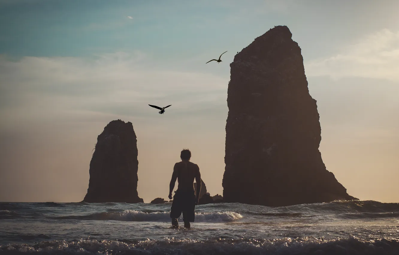 Photo wallpaper wave, beach, flight, sunset, rocks, seagulls, male