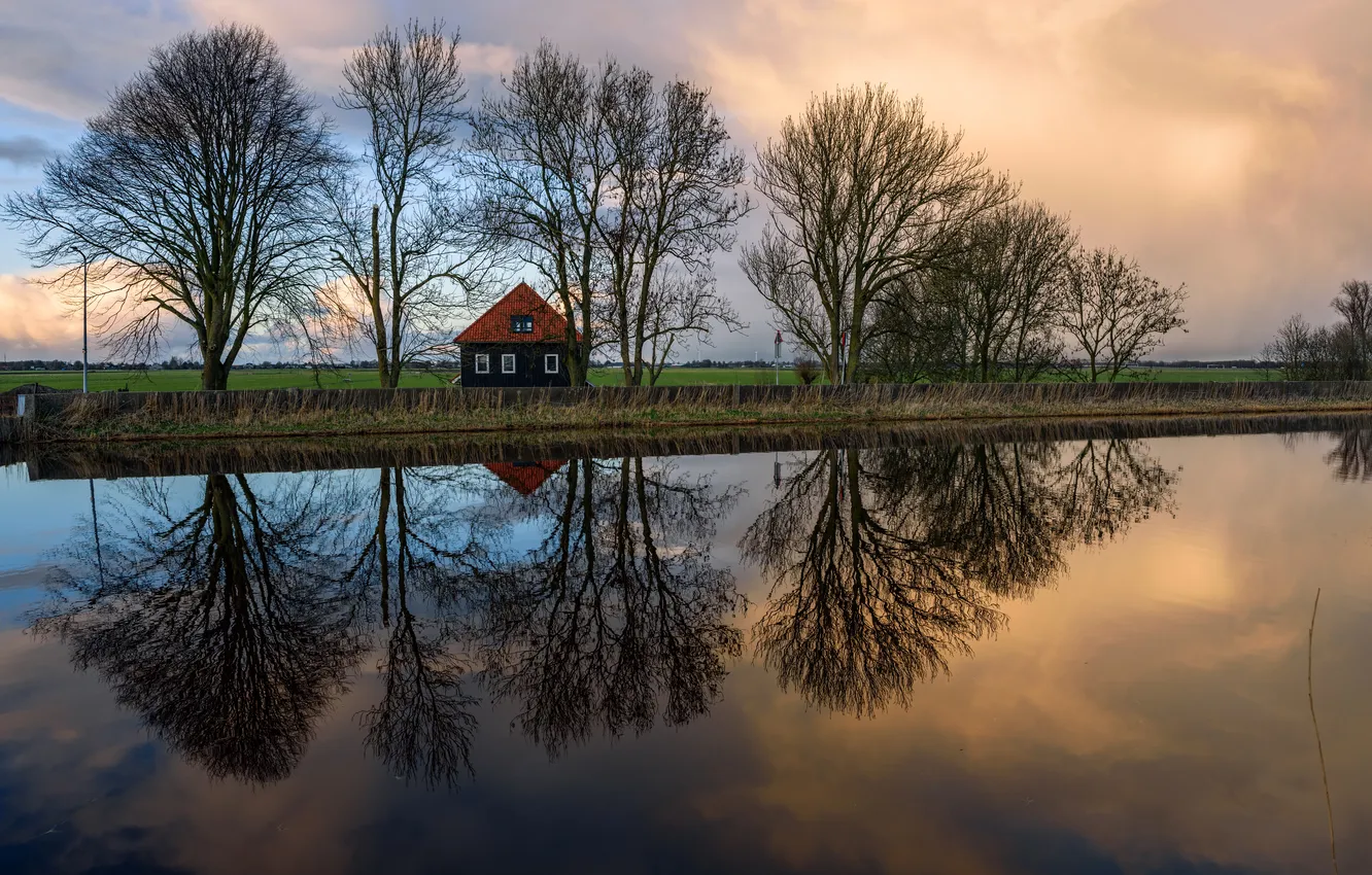 Photo wallpaper field, trees, reflection, river, home, the evening, Netherlands, Oudendijk