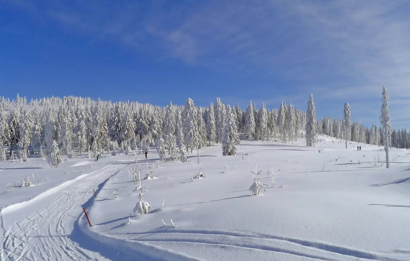 Photo wallpaper winter, field, landscape, trails