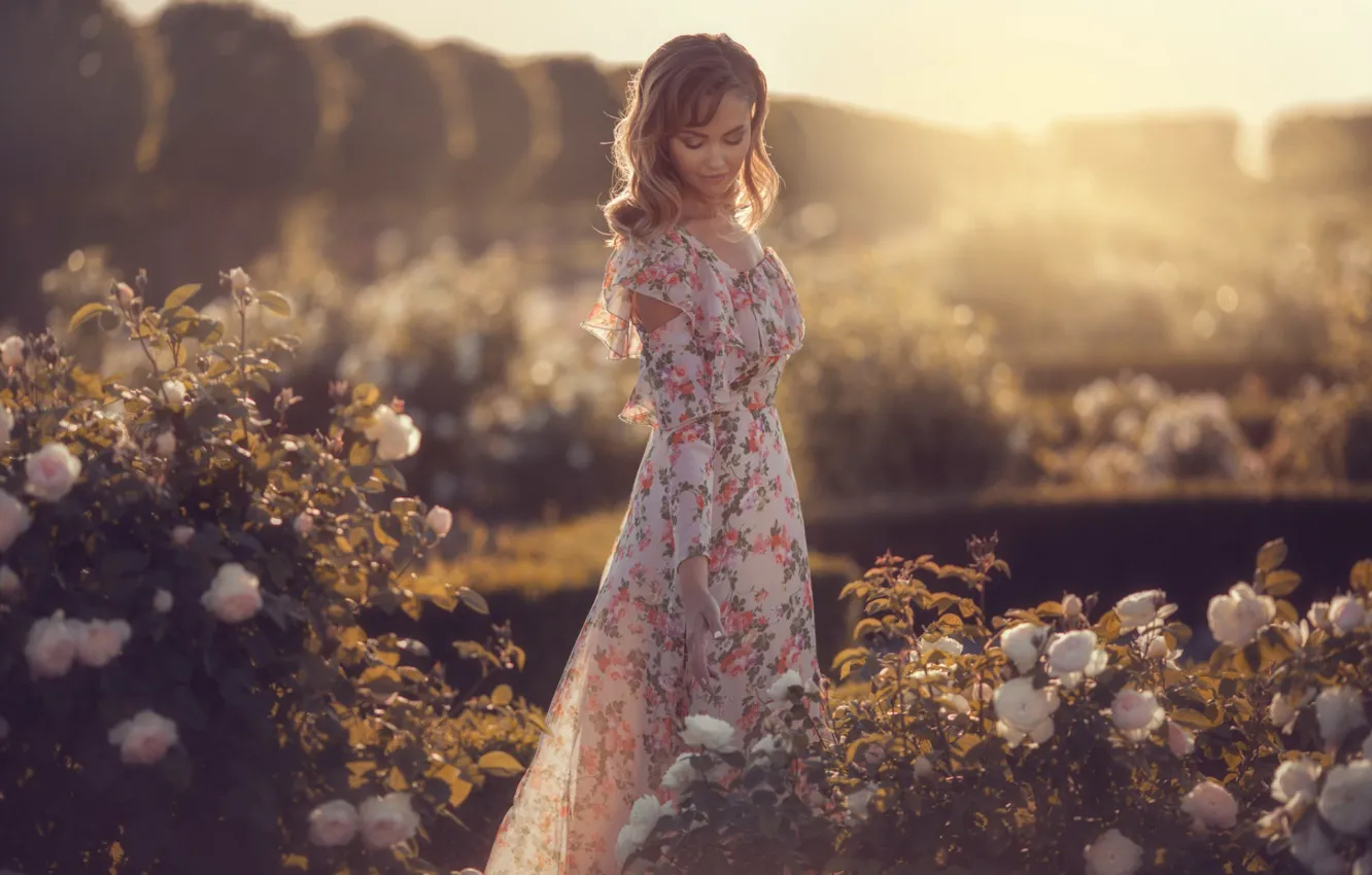 Photo wallpaper girl, flowers, pose, model, dress, Alina Moore