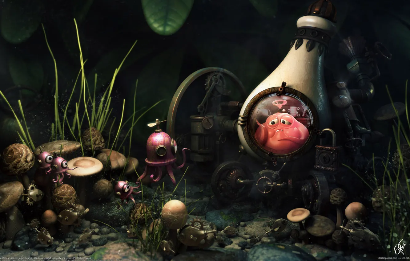 Photo wallpaper bottle, Hamid Ibrahim, mushroom