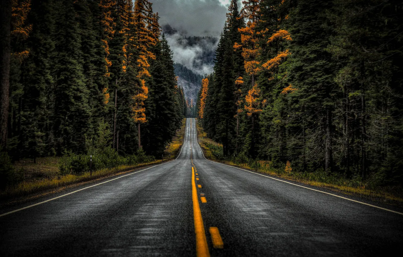 Photo wallpaper road, autumn, forest, trees, Washington, Washington State, Highway 410