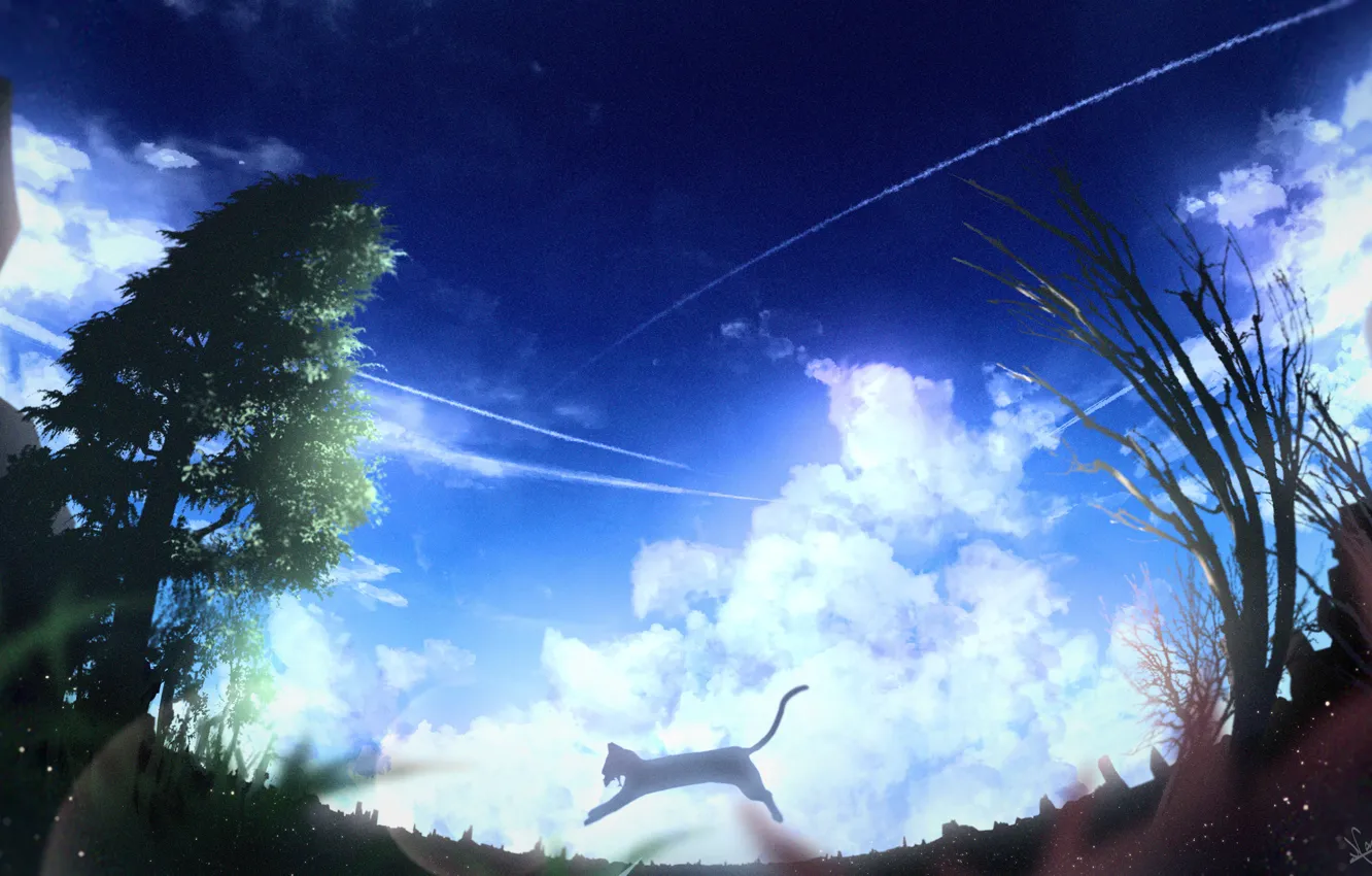 Photo wallpaper cat, summer, the sky, clouds, nature, jump