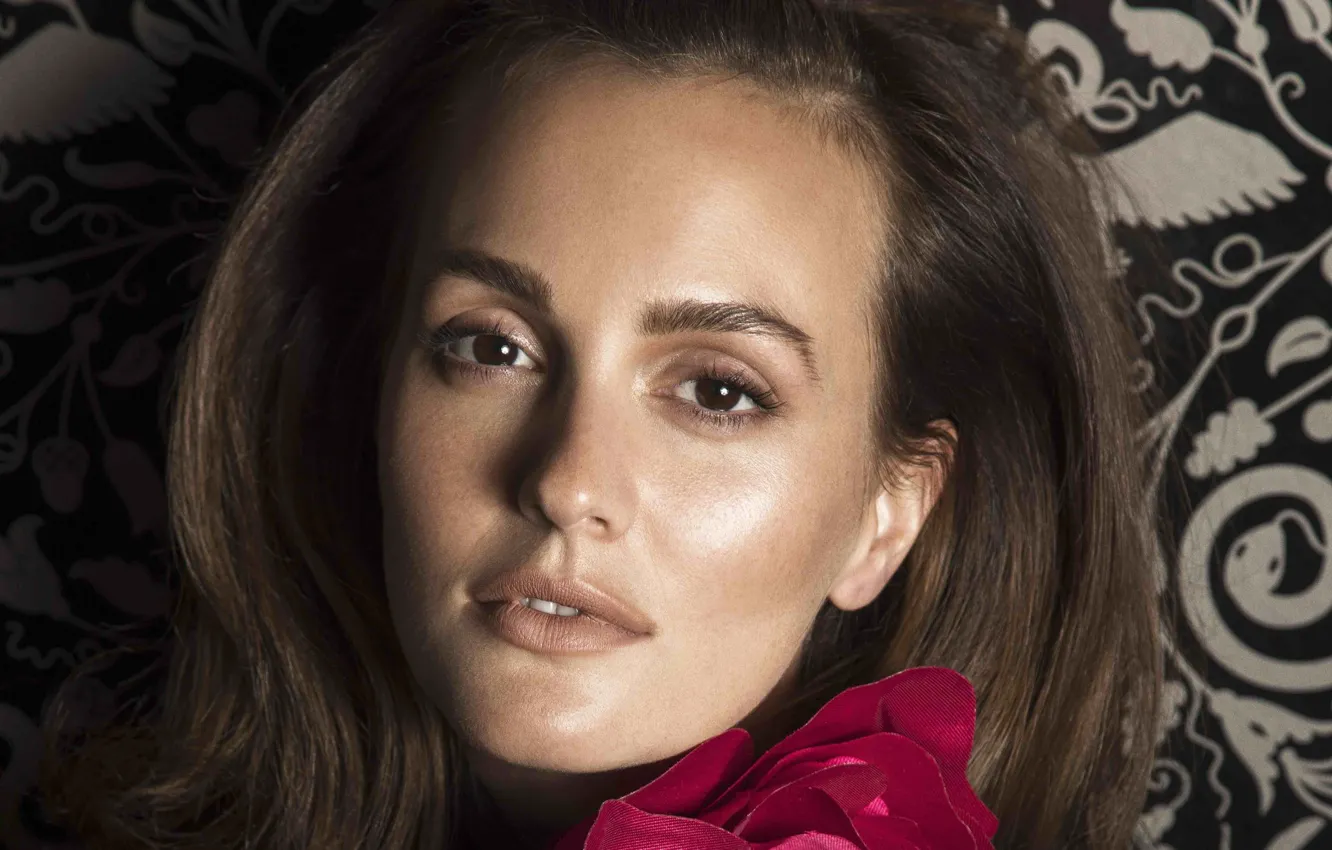 Photo wallpaper look, Leighton Meester, celebrity