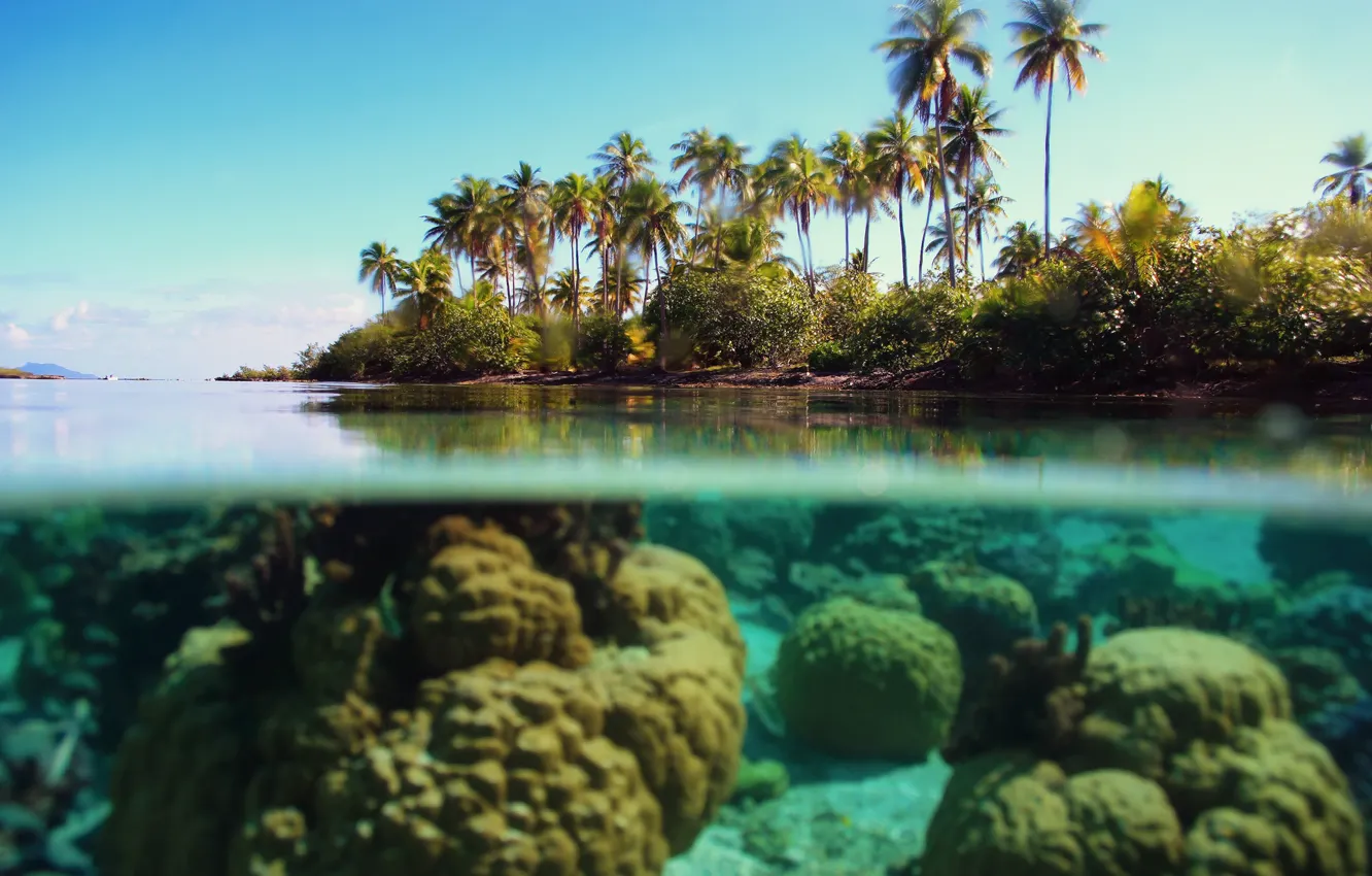 Photo wallpaper sea, the sky, nature, palm trees, the ocean, under water, over the water