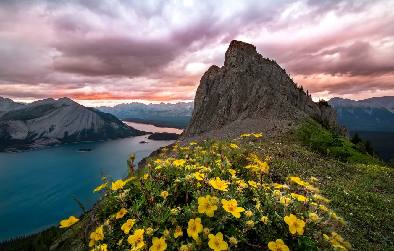 Photo wallpaper the sky, clouds, flowers, mountains, yellow, clouds, lake, overcast