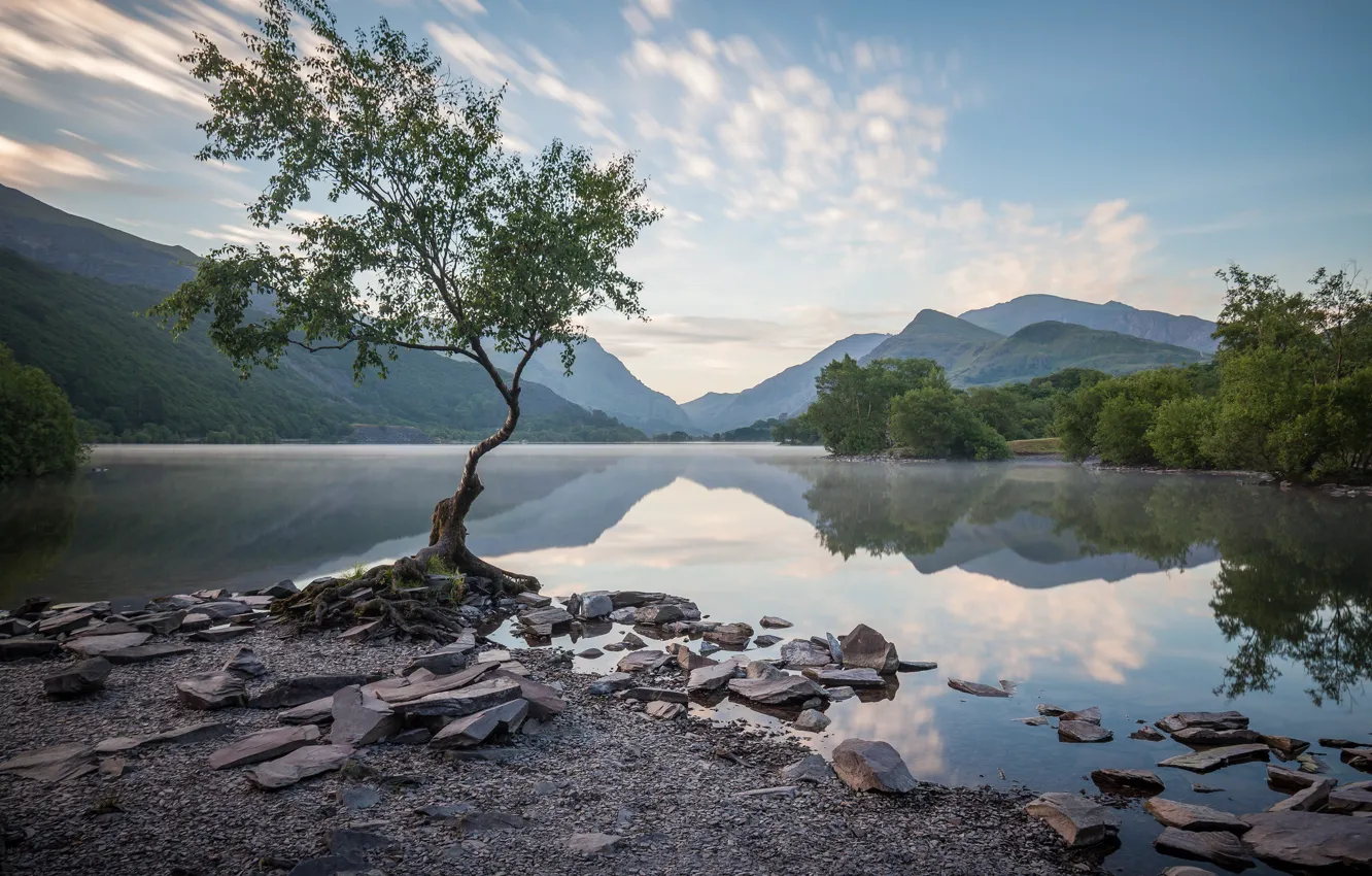 Photo wallpaper trees, mountains, lake, Wales
