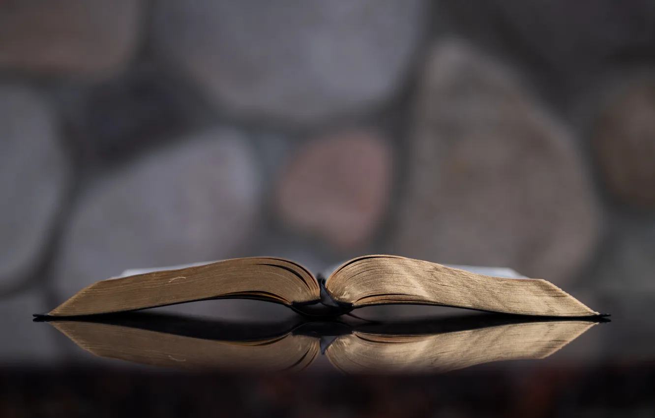 Photo wallpaper book, Christian, God, Bible, Jesus, Aaron Burden, Holy Bible