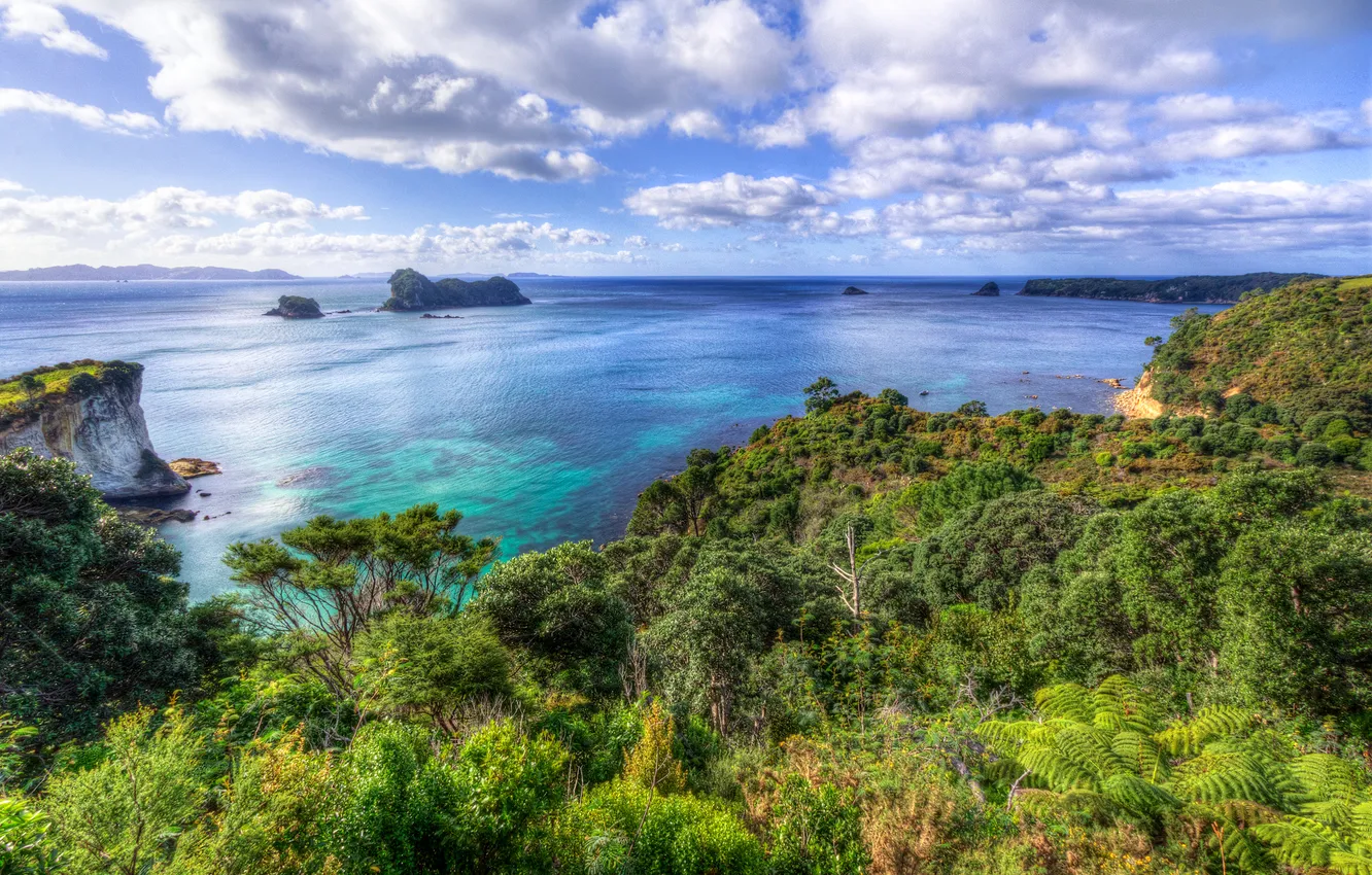 Photo wallpaper sea, the sky, clouds, nature, the ocean, rocks, New Zealand, Cape