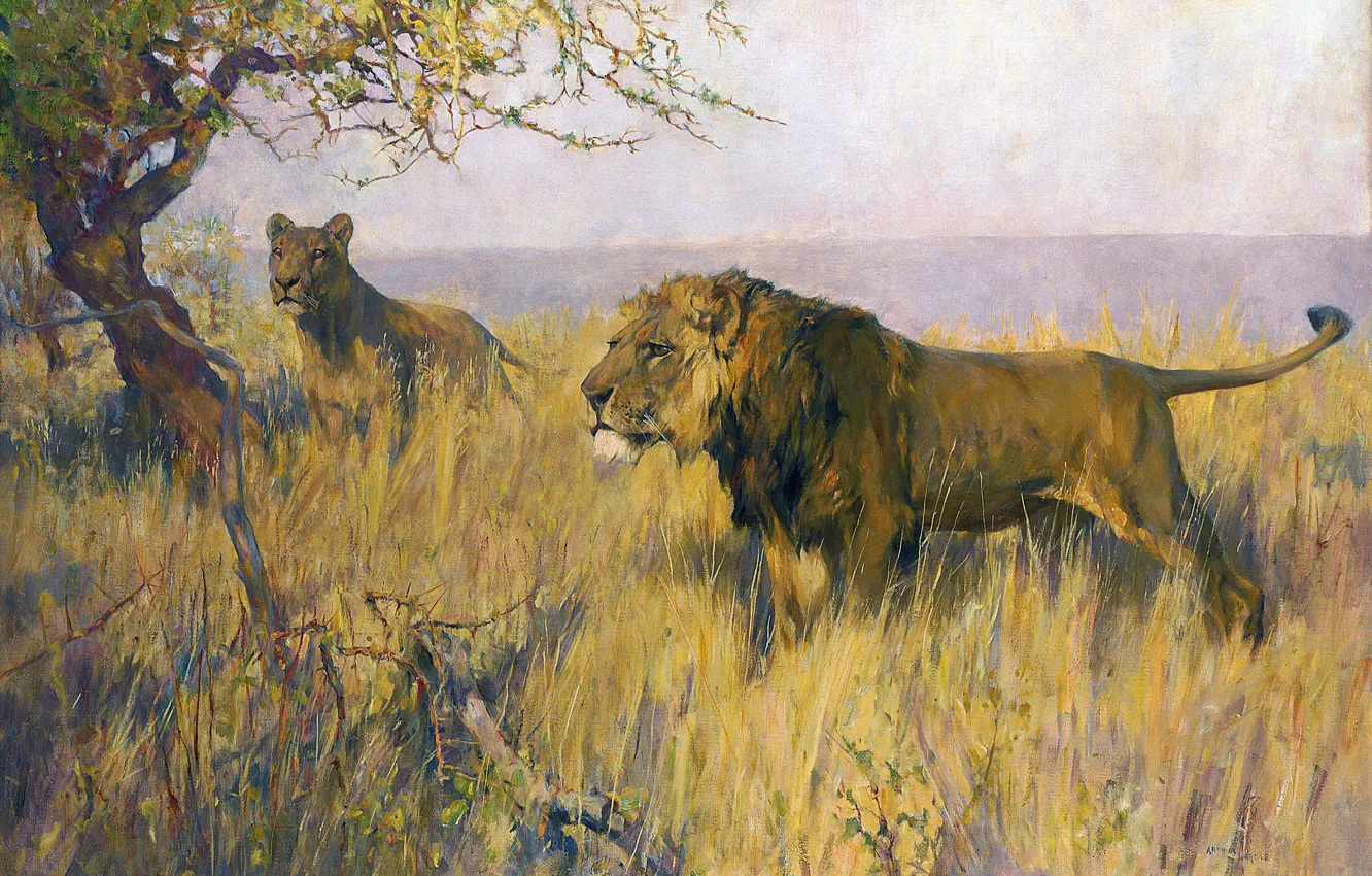 Photo wallpaper grass, trees, picture, Leo, two, big cats, British artist, Arthur Wardle