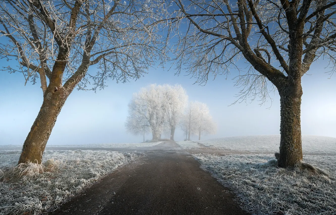 Photo wallpaper winter, road, fog