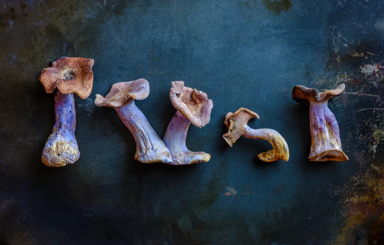 Photo wallpaper background, mushrooms, food
