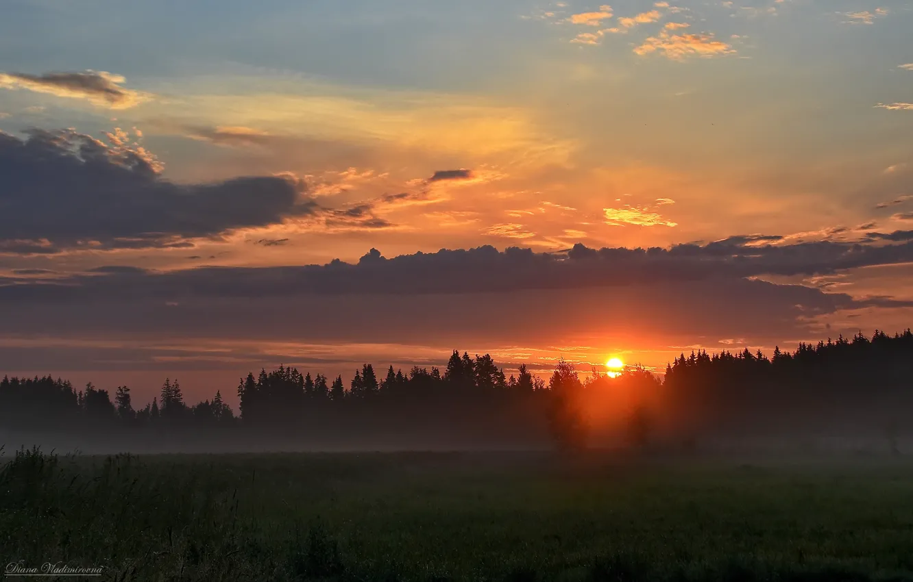 Photo wallpaper landscape, nature, dawn, morning