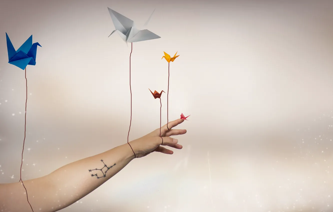 Photo wallpaper background, hand, cranes