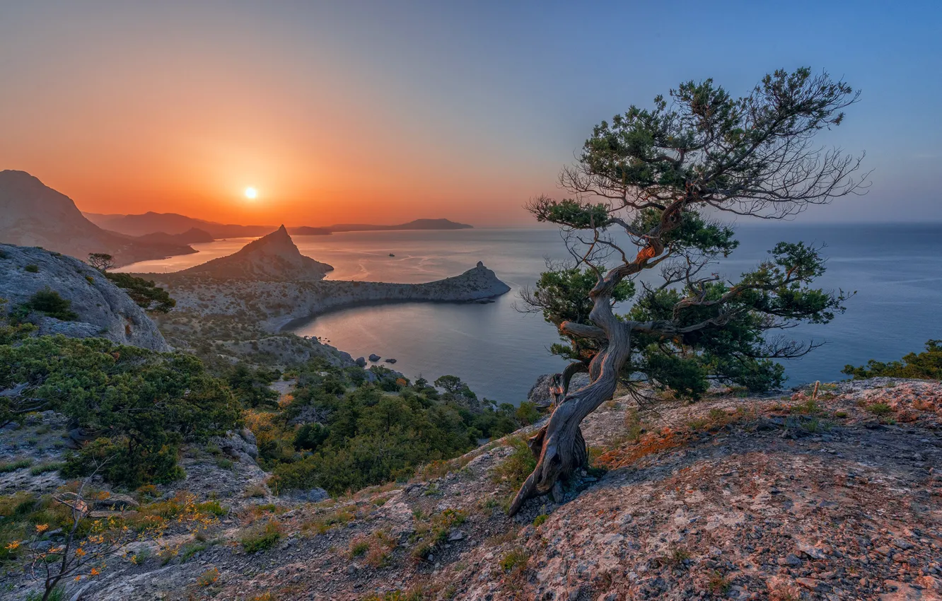 Photo wallpaper sea, landscape, mountains, nature, tree, rocks, coast, Crimea