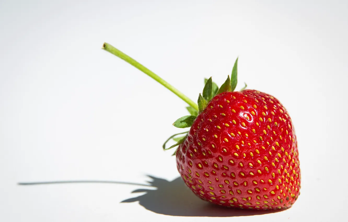 Photo wallpaper macro, strawberry, berry, white background