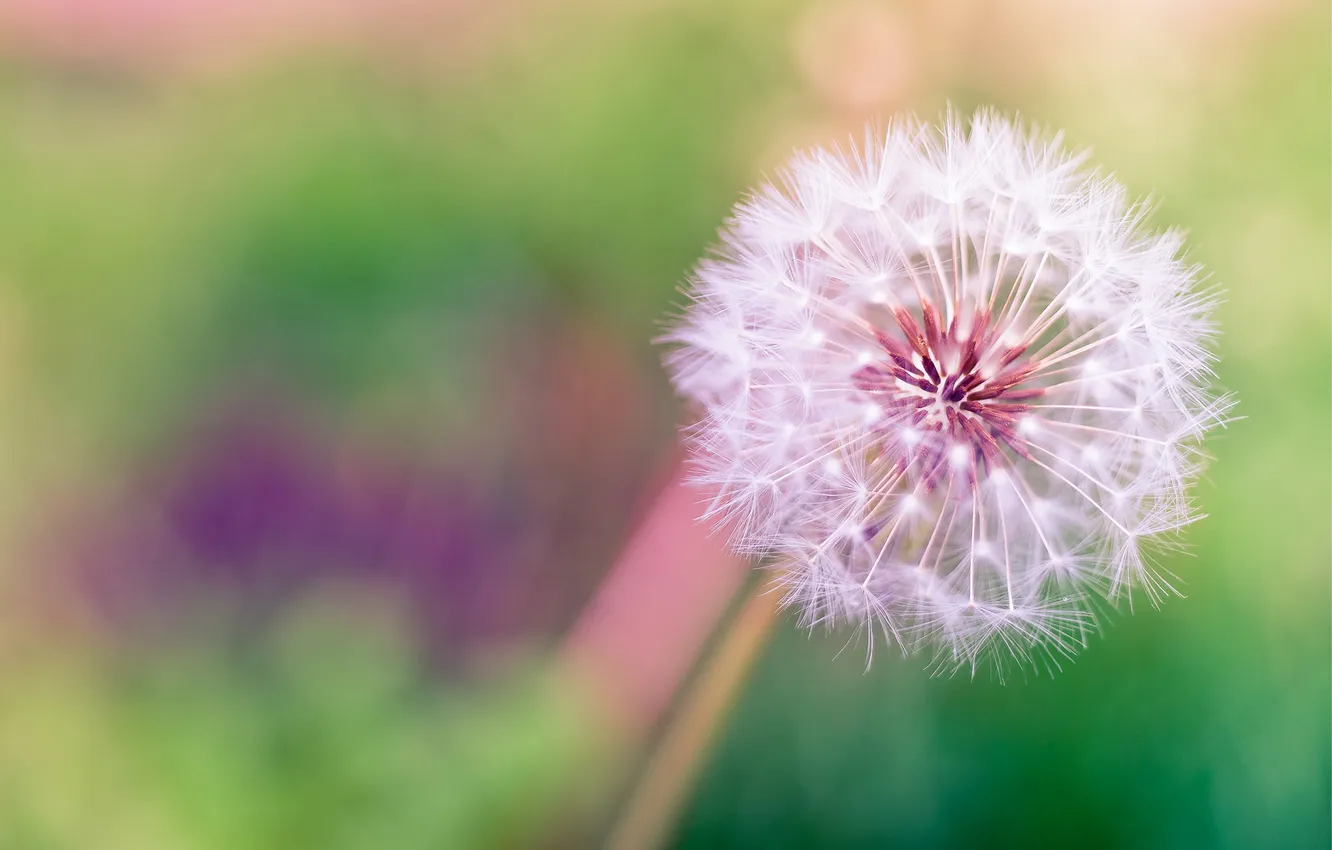 Photo wallpaper htc, sense, HTC ONE M8, One M8, Sense 6