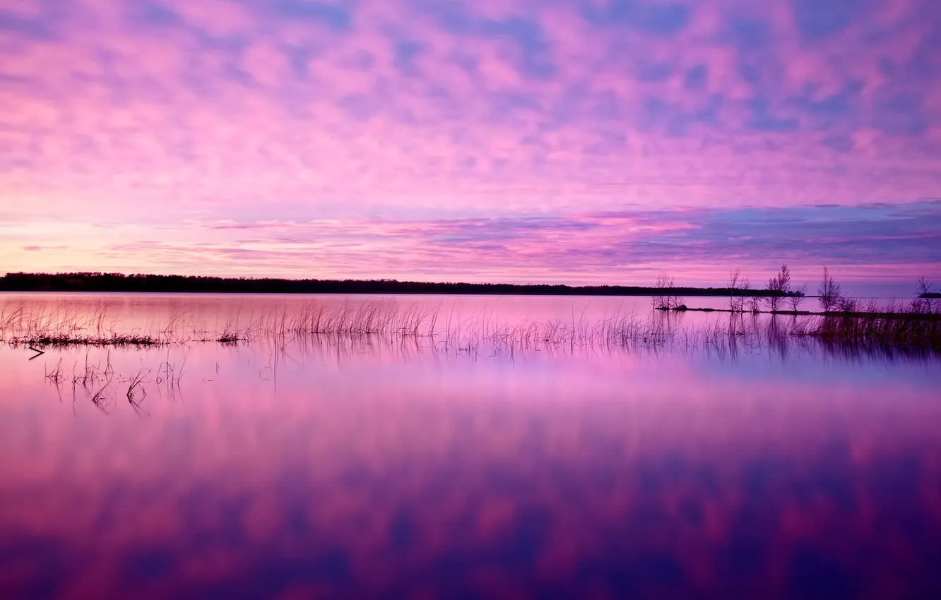 Photo wallpaper the sky, grass, clouds, sunset, lake