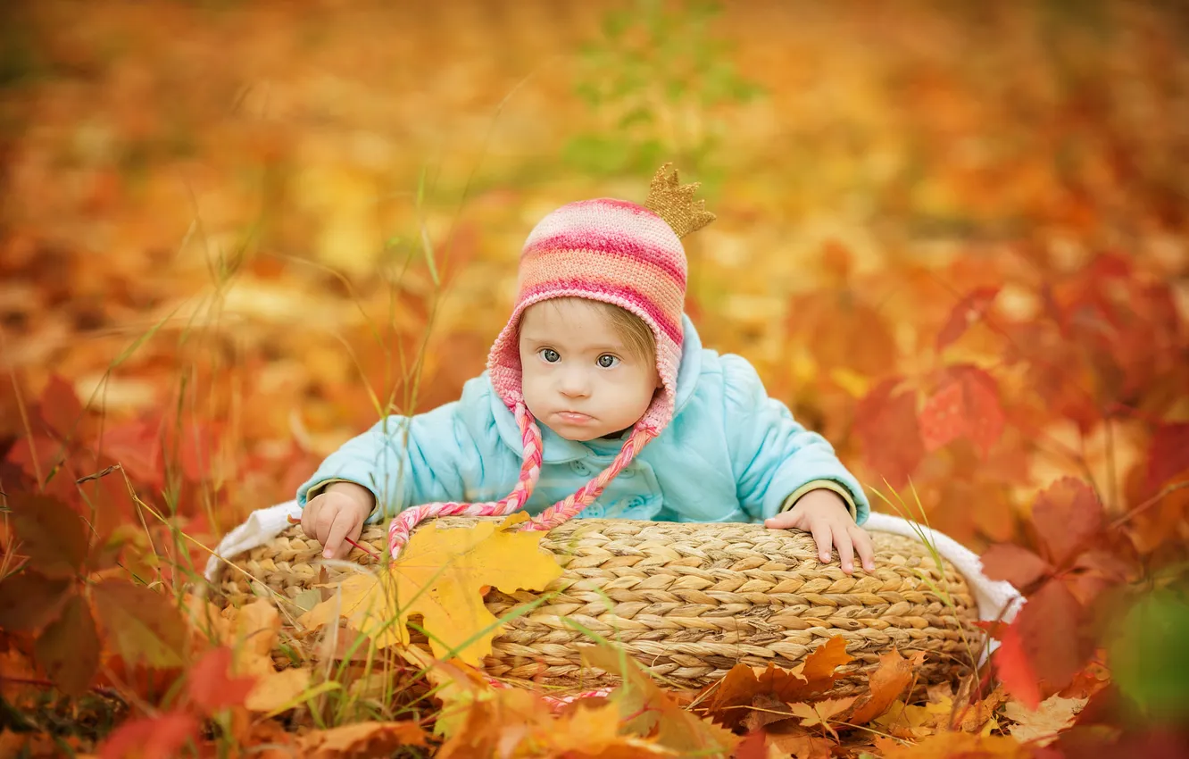 Photo wallpaper autumn, look, leaves, child, cap, baby, gray-eyed