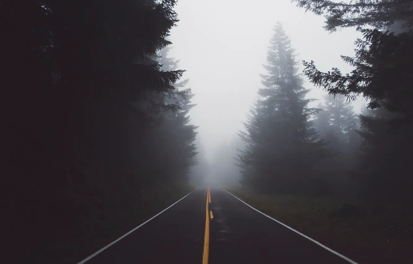 Photo wallpaper road, forest, nature, fog, haze