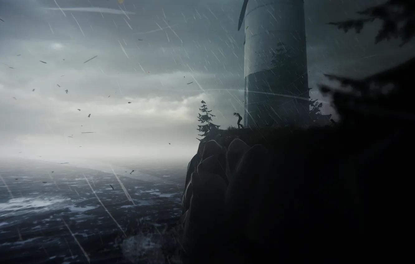 Photo wallpaper life, Strange