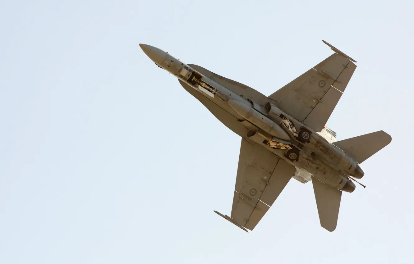Photo wallpaper the sky, the plane, Chassis, F/A-18 Hornet, McDonnel Douglas
