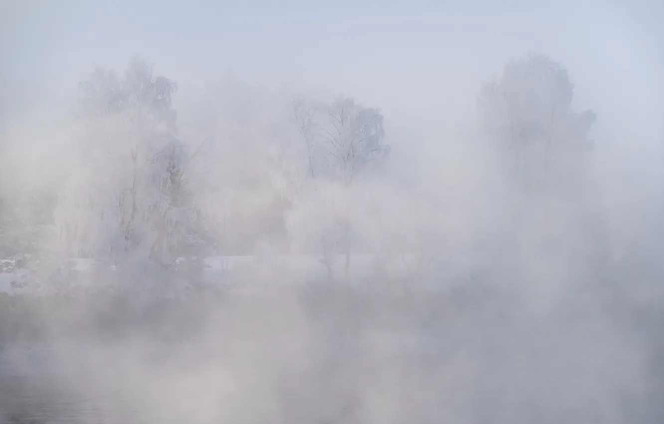 Photo wallpaper fog, shore, Pskov oblast, Roman Dmitriev