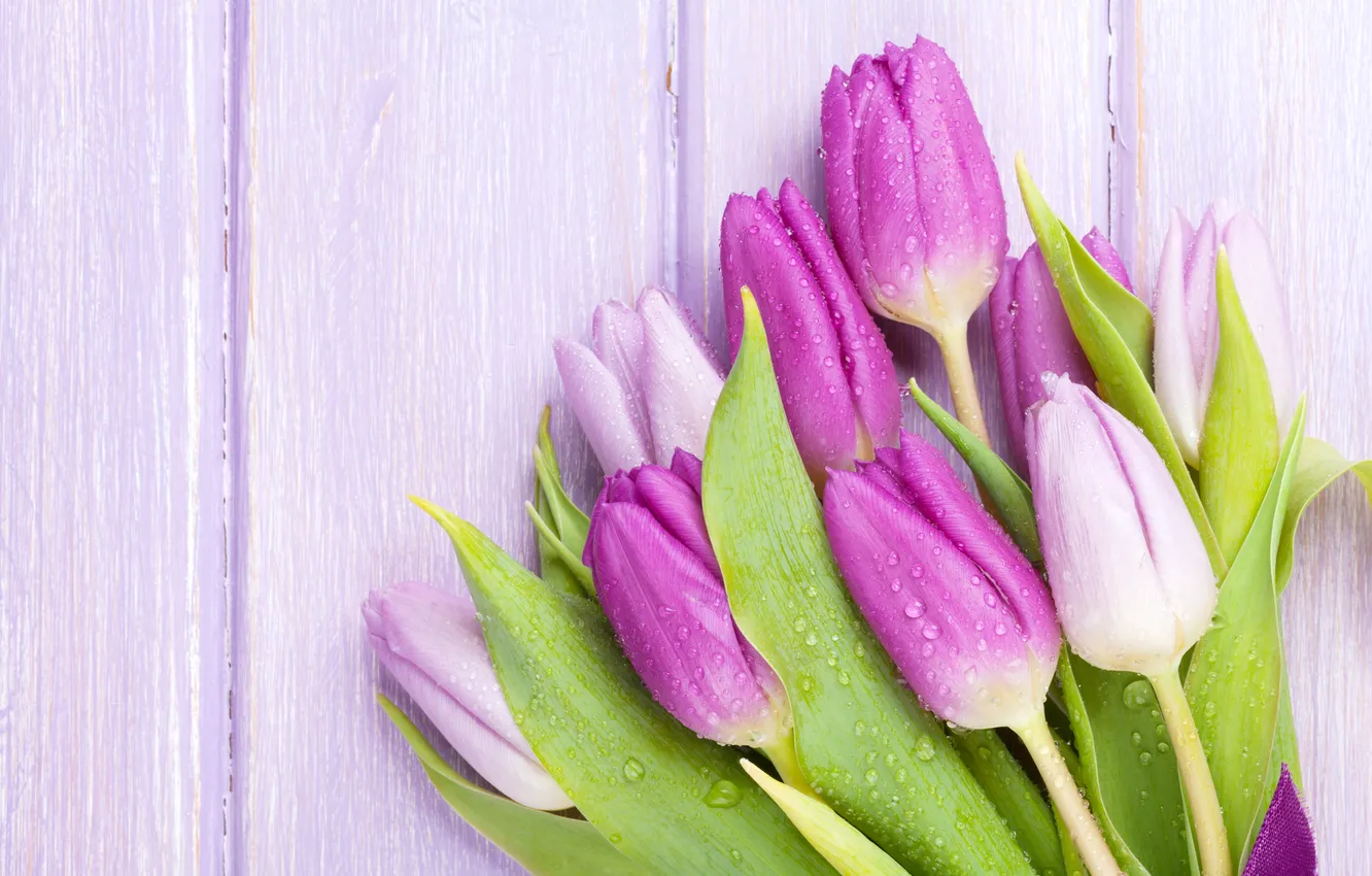 Photo wallpaper flowers, bouquet, tulips, wood, flowers, tulips, spring, purple