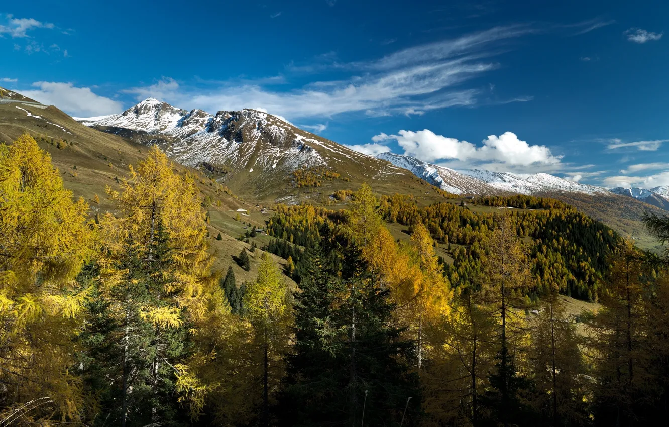 Photo wallpaper autumn, trees, mountains, Austria, Alps, Austria, Alps, Salzburg
