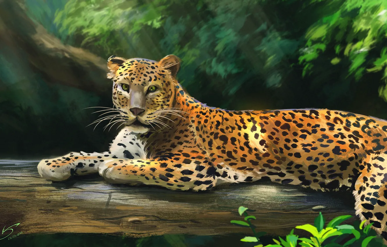Photo wallpaper look, predator, art, lies, Jaguar, big cat