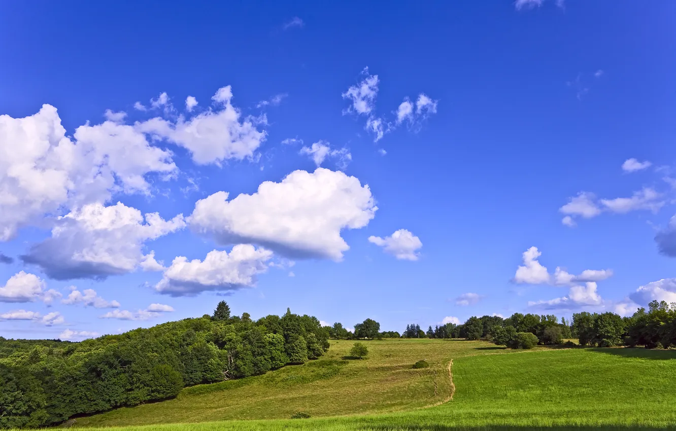 Photo wallpaper The sky, Nature, Clouds, Photo, Field, Grass, Trees, Forest