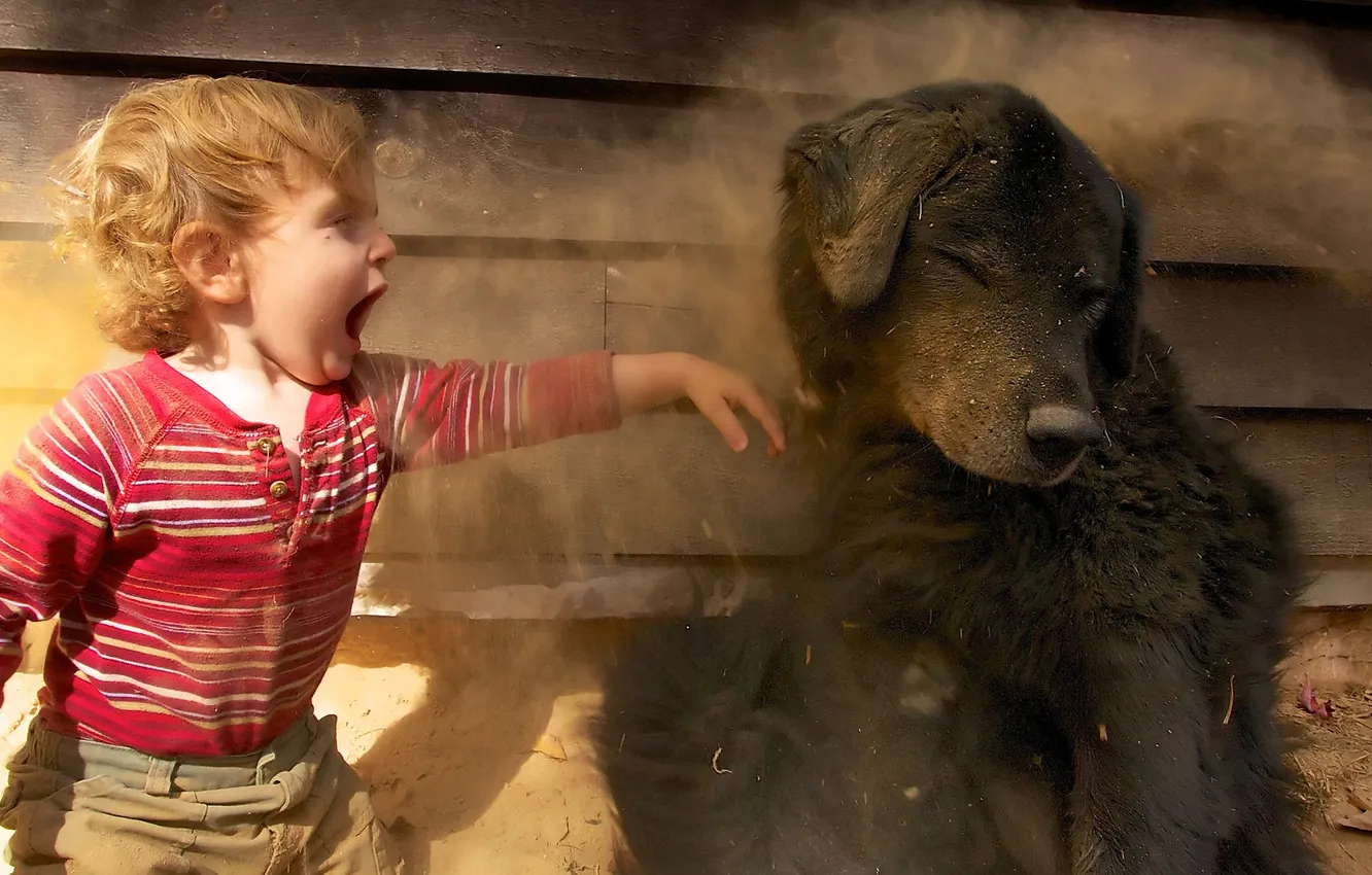 Photo wallpaper children, mood, the wind, the game, dog, trust