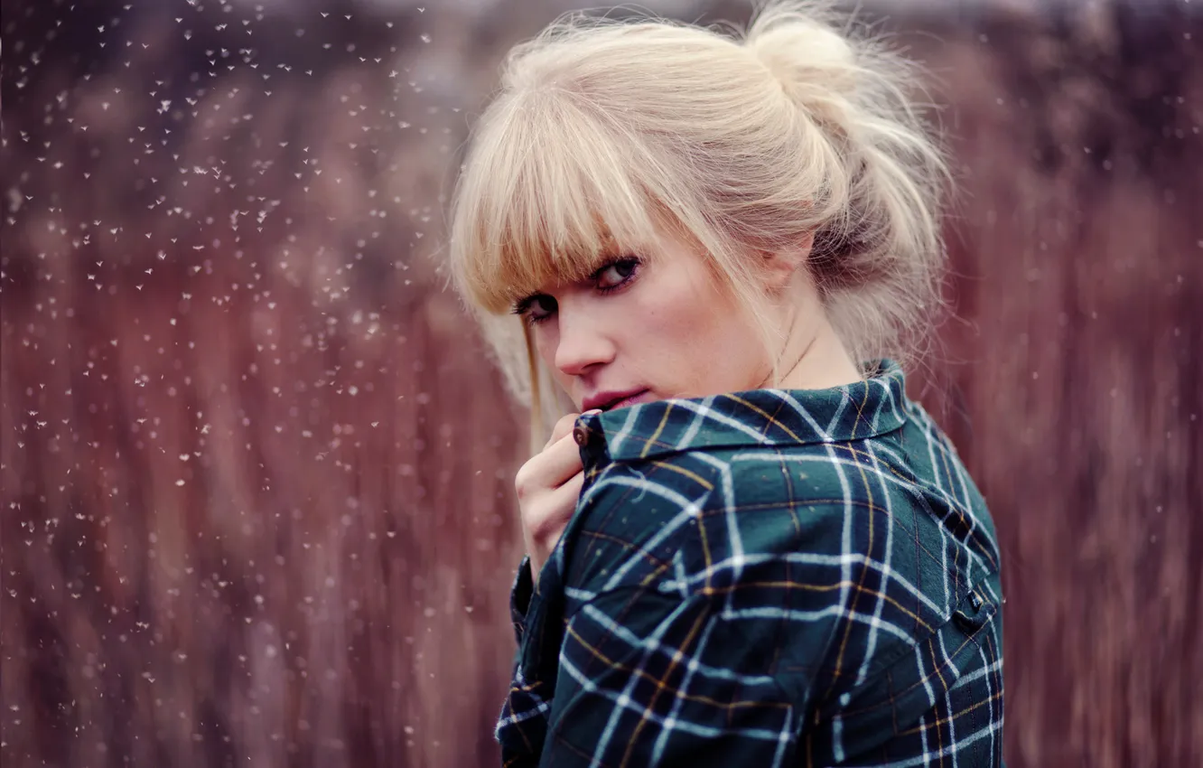 Photo wallpaper look, girl, blonde