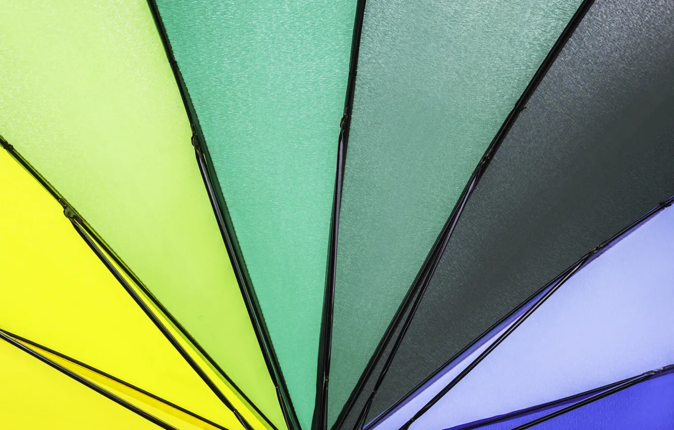 Photo wallpaper background, color, rainbow, colors, umbrella, colorful, rainbow, umbrella