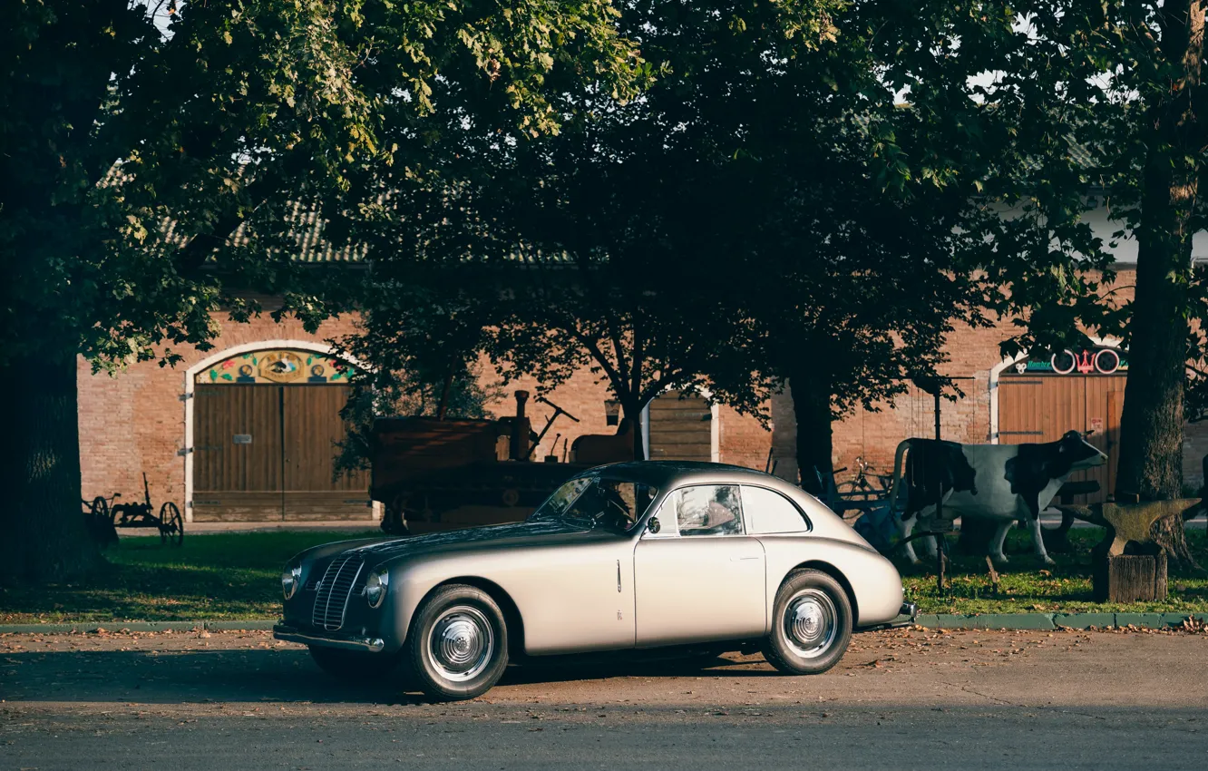 Photo wallpaper trees, Maserati A6 1500 GT, 1949, car, Maserati