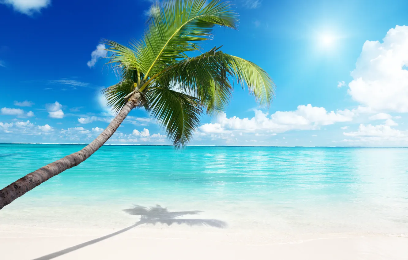 Photo wallpaper sea, beach, palm trees